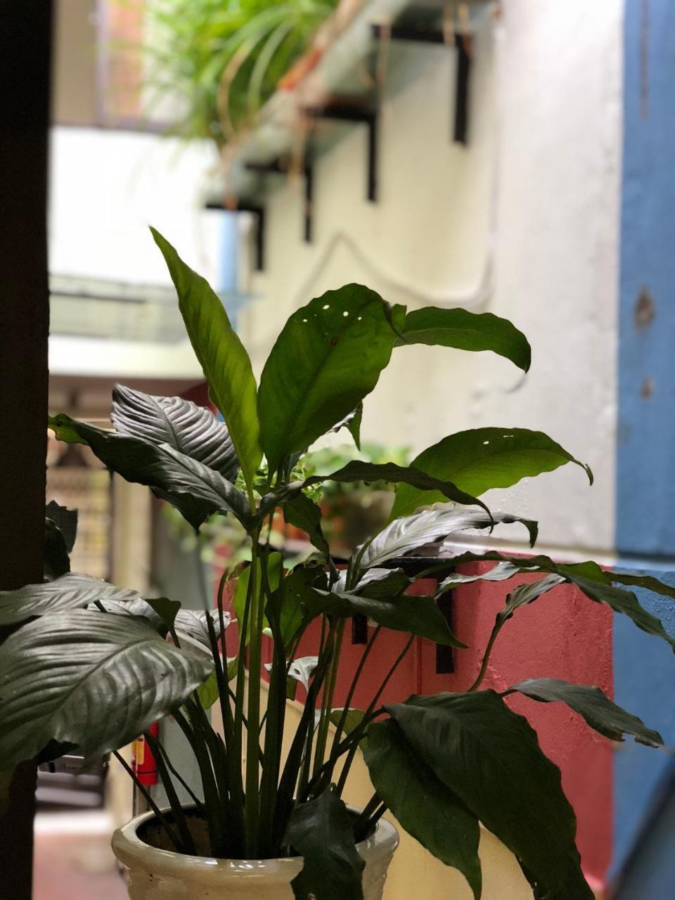 La Ventana Modern House Leilighet Hai Phong Eksteriør bilde